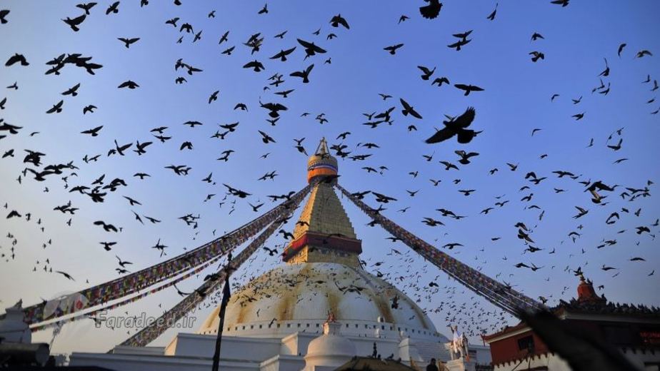 پرواز کبوتر‌ها بر فراز سایت یونسکو در کاتماندو نپال