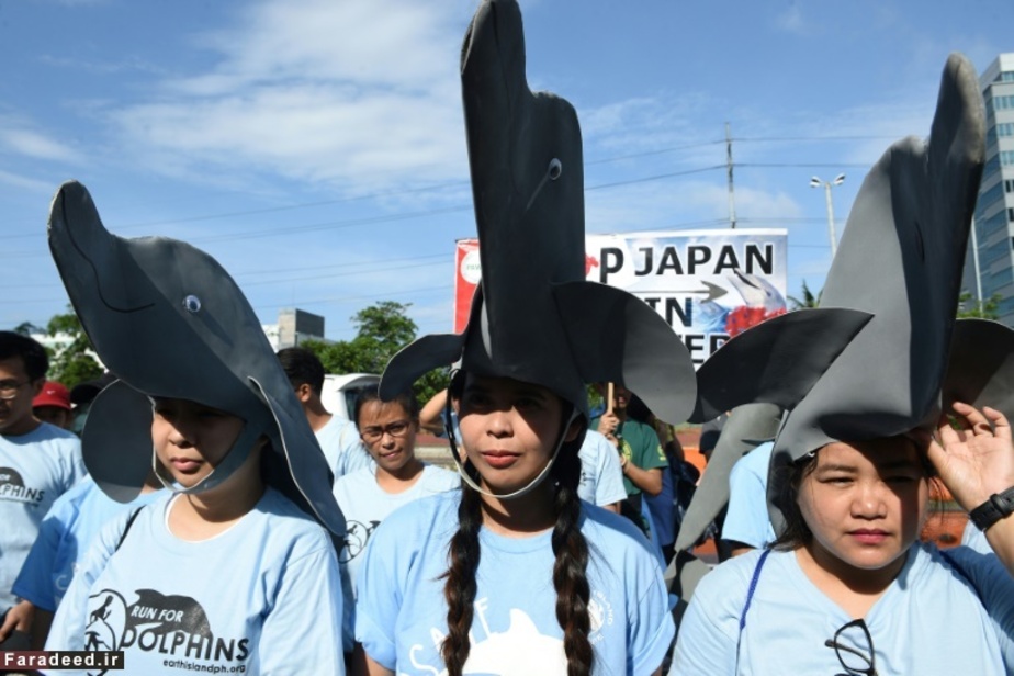 اعتراض علیه شکار دلفین‌ها در تایجی، ژاپن