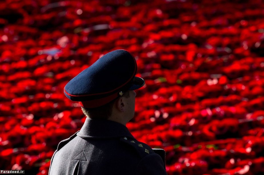 سرباز انگلیس در مقبره سرباز گمنام لندن