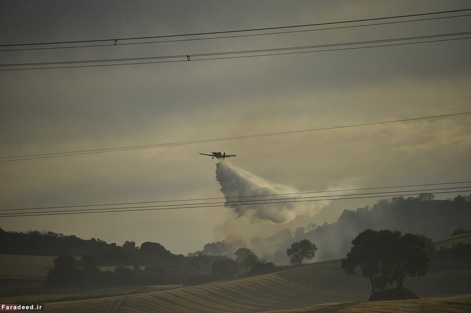 تلاش برای خاموش کردن آتش‌سوزی جنگل؛ اسپانیا
