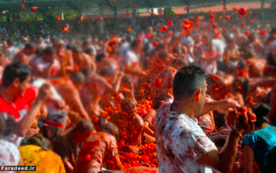 جشنواره سالانه نبرد گوجه فرنگی در کلمبیا