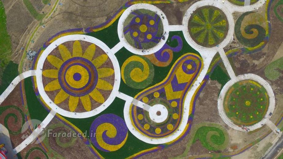 زمین های پوشیده از گل در یانگژو