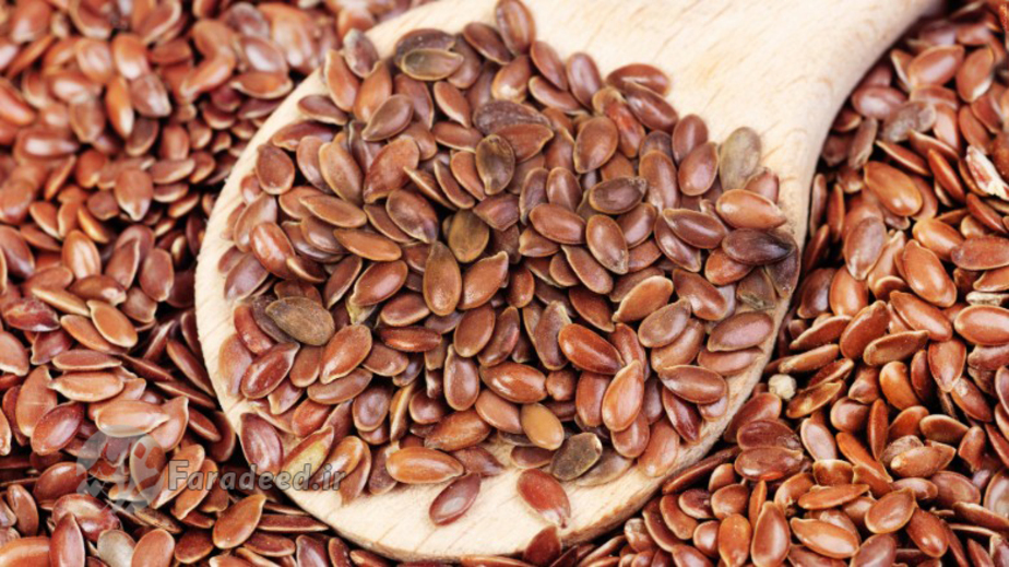 بذر کتان یکی دیگر از منابع غنی فیبر است. می‌توانید از آن در انواع سالاد و سوپ و آش استفاده کنید