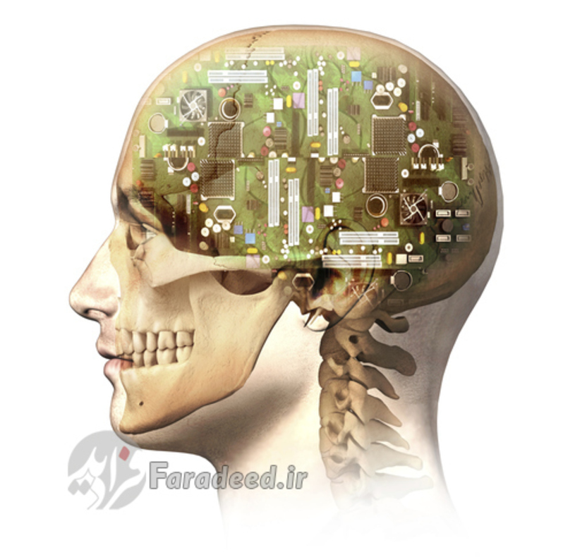 ظرفیت نگهداری اطلاعات توسط مغز نزدیک به چهار ترابایت اطلاعات روی هارد دیسک است. 