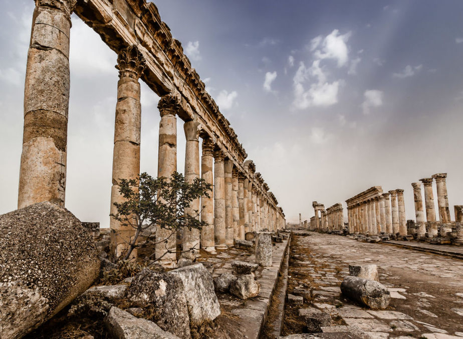 پالمیرا