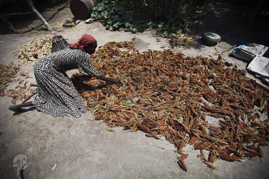 زنی در حال خشک کردن 