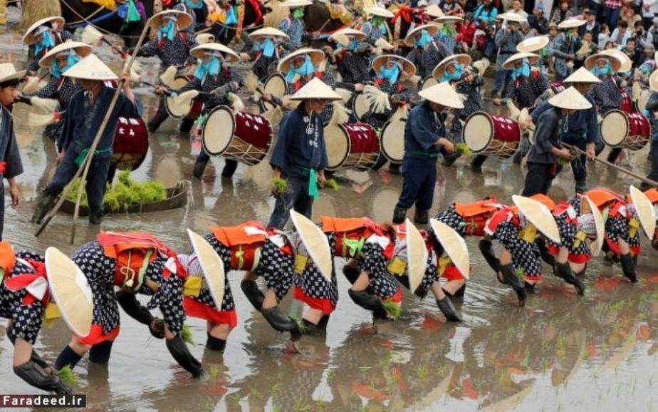 مراسم سنتی کاشت برنج در هیروشیما، ژاپن