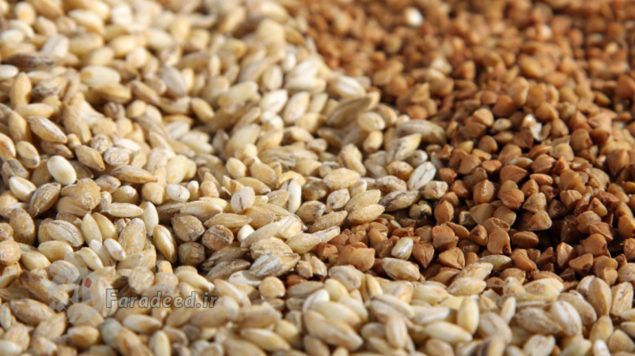 گندم و جو بهترین منابع فیبر هستند