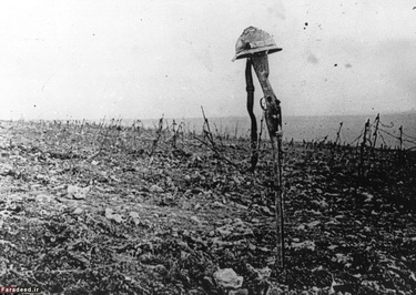 در طول این نبرد علاوه بر کشته‌های فراوان صدمات محیطی فراوانی نیز وارد شد