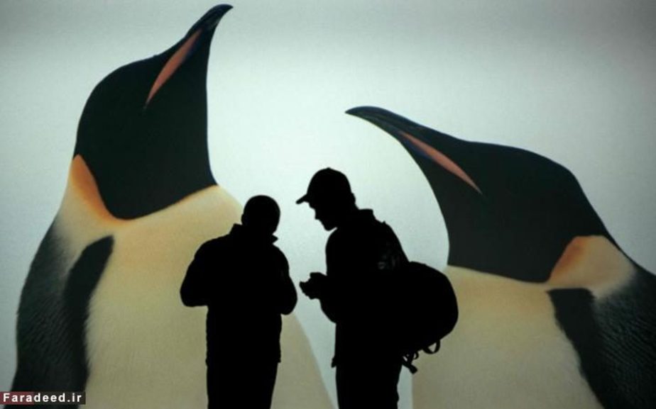 بازدید از نمایشگاه قطب جنوب در موزه Confluences؛ لیون، فرانسه