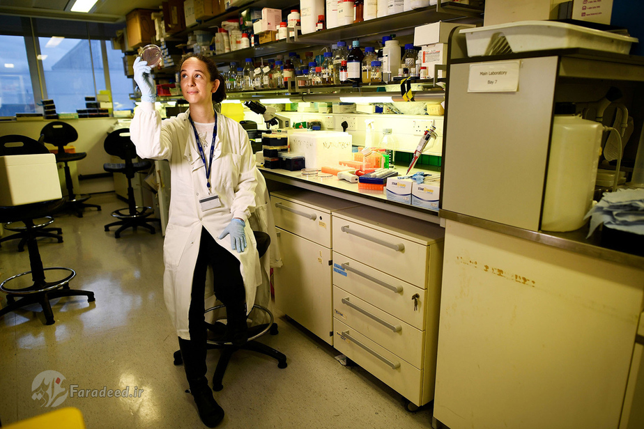 کاترین رینولدز، 37 ساله، پژوهشگر علمی، انگلستان