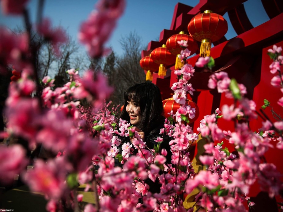 جشنواره بهار در حومه پکن