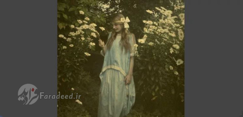 تصویری خیال انگیز سال ۱۹۱۲ ، دختری در میان گل‌های داوودی 