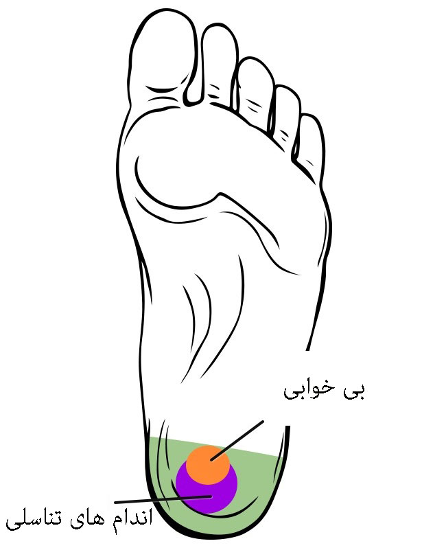 نقاط ماساژ کف پا را بشناسید