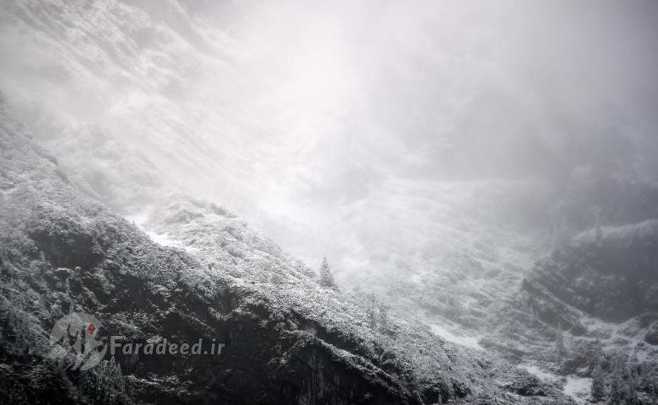 آلمان| درختانی پوشیده از برف که در کنار دریاچه كونيجسی قرار گرفته اند