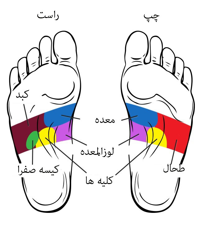 نقاط ماساژ کف پا را بشناسید