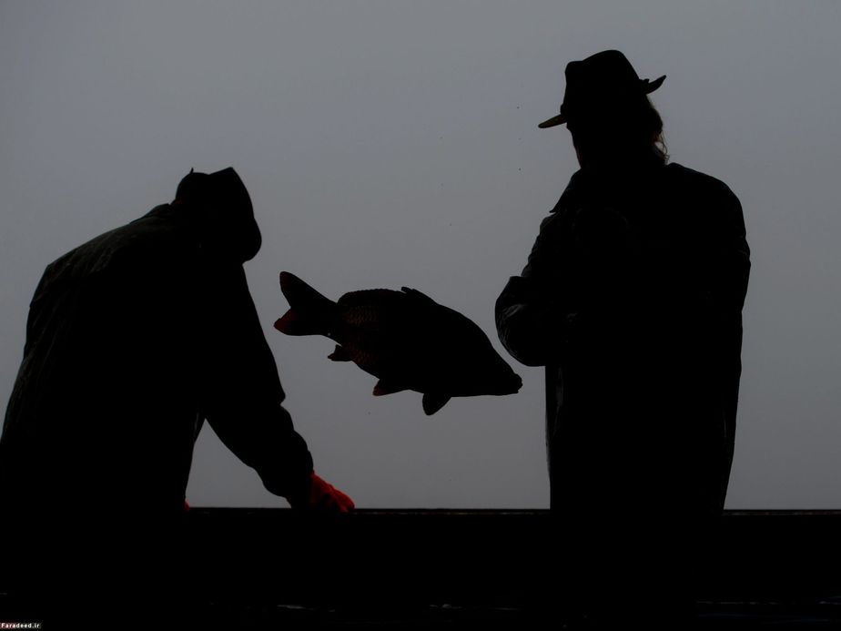 ماهیگیری در جمهوری چک