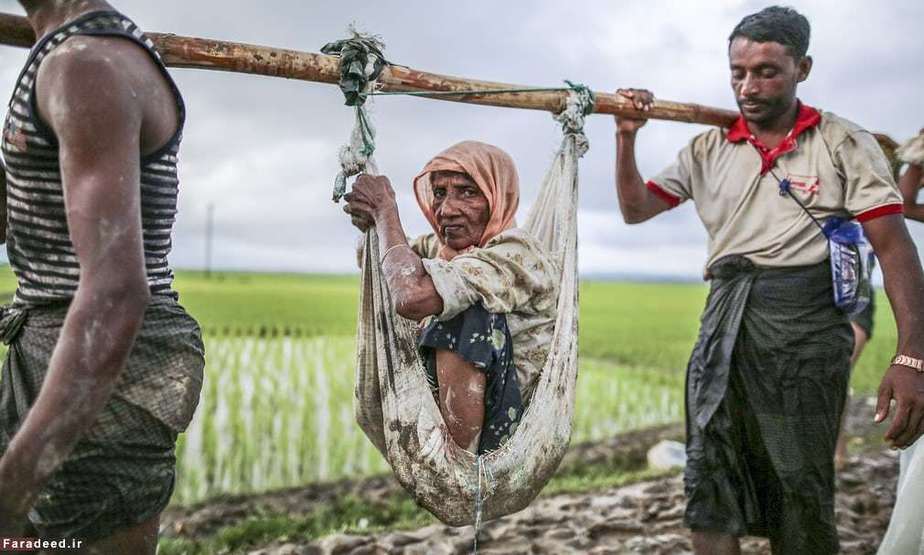 عبور مسلمانان روهینگیا از مرز بنگلادش میانمار