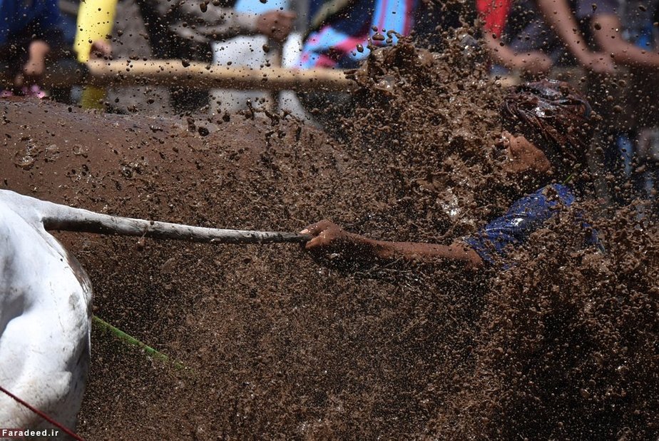 مسابقه سنتی در سوماترا