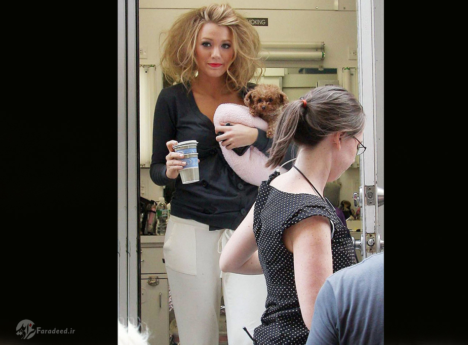 تدو الیام طراح حرفه ای و مدرن و سگ او، بتی، در دفترش ، 1991.