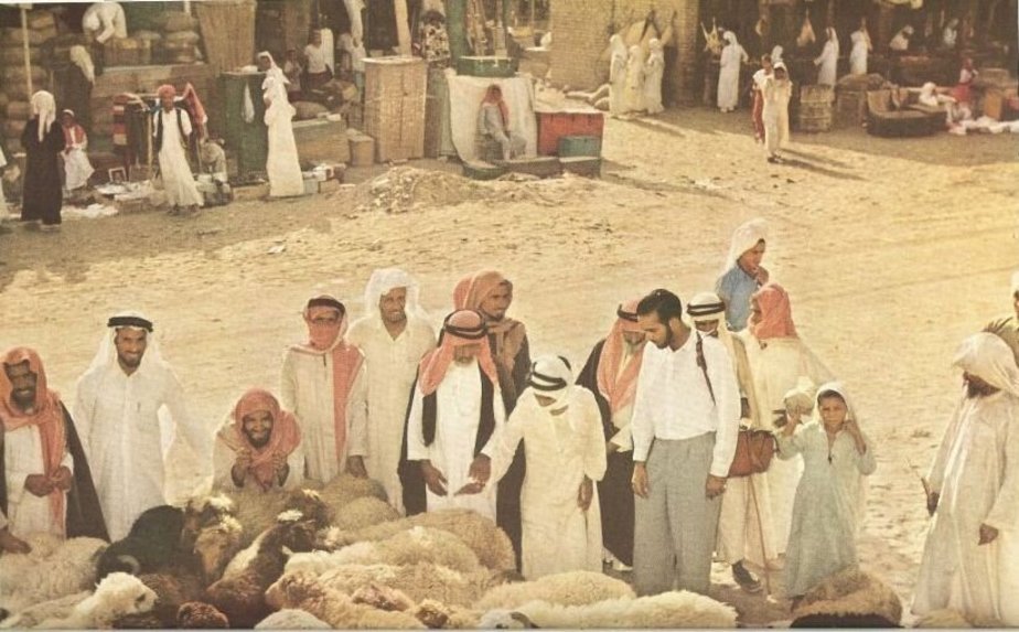 حاجيان برای انتخاب قربانيان روز عيد خود به صحرا می‌رفتند 