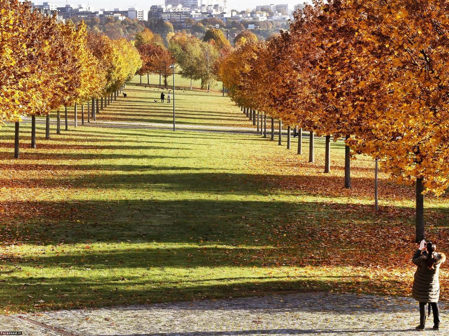 عکاسی در فرانکفورت
