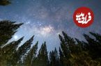 آلودگی نوری تا دو دهه دیگر ستاره‌ها را غیرقابل‌تشخیص می‌کند